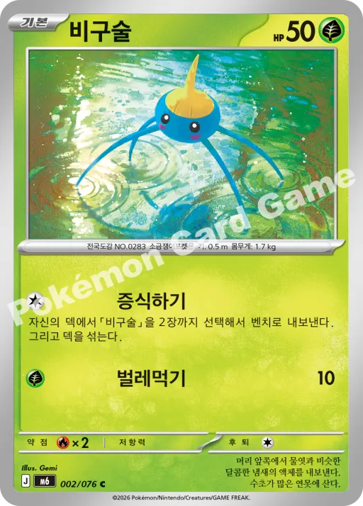 비구술