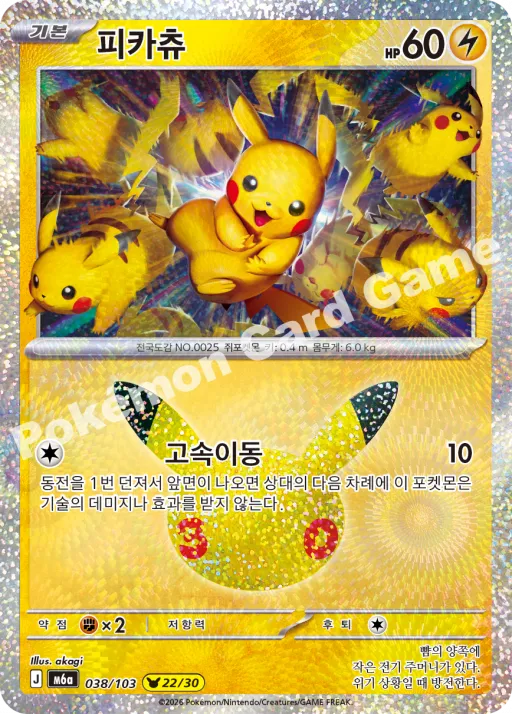 22번 피카츄