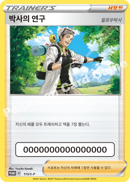 Professor's Research: Professor Willow