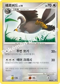 찌르버드