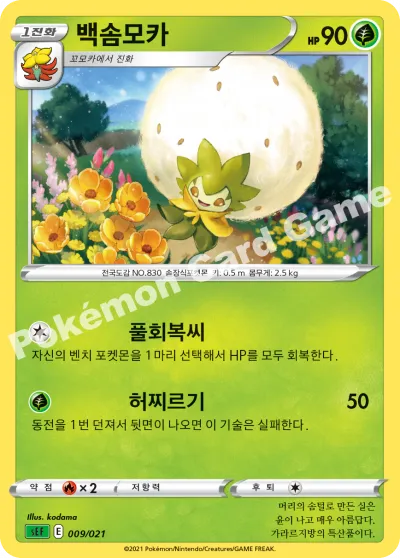 백솜모카
