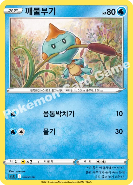 カムカメ