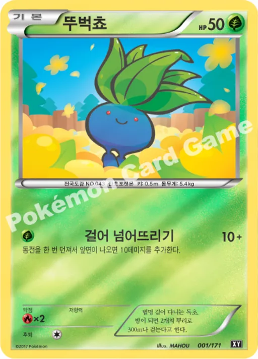 뚜벅쵸