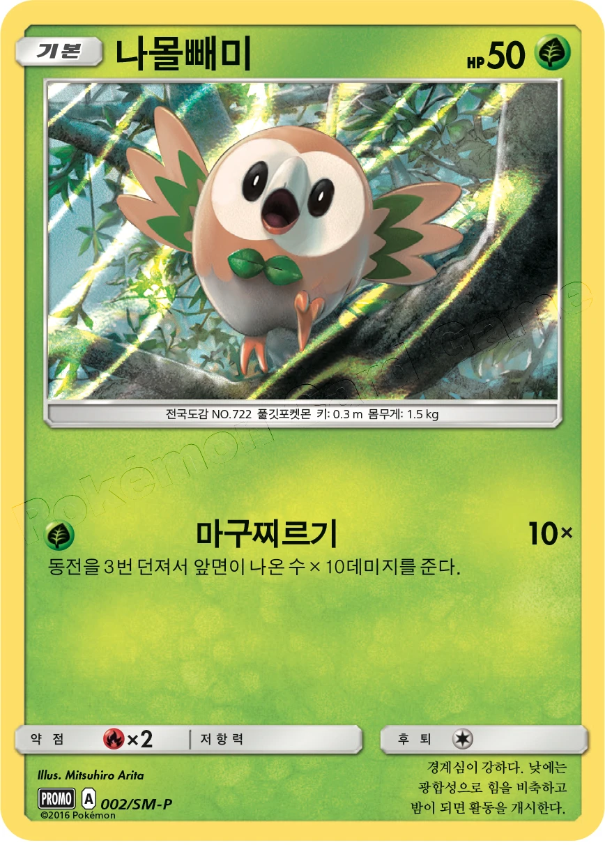 나몰빼미