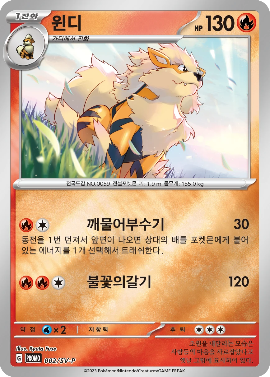 윈디
