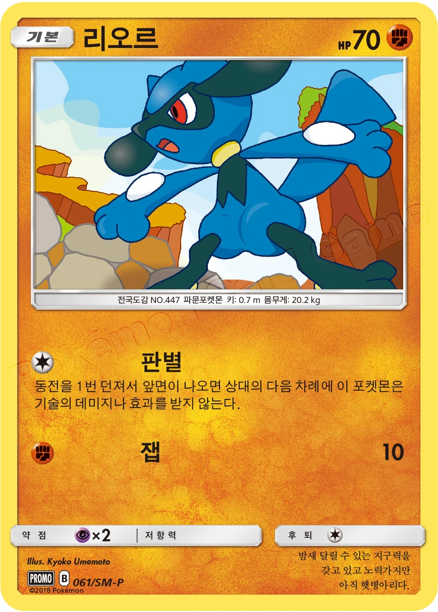 리오르