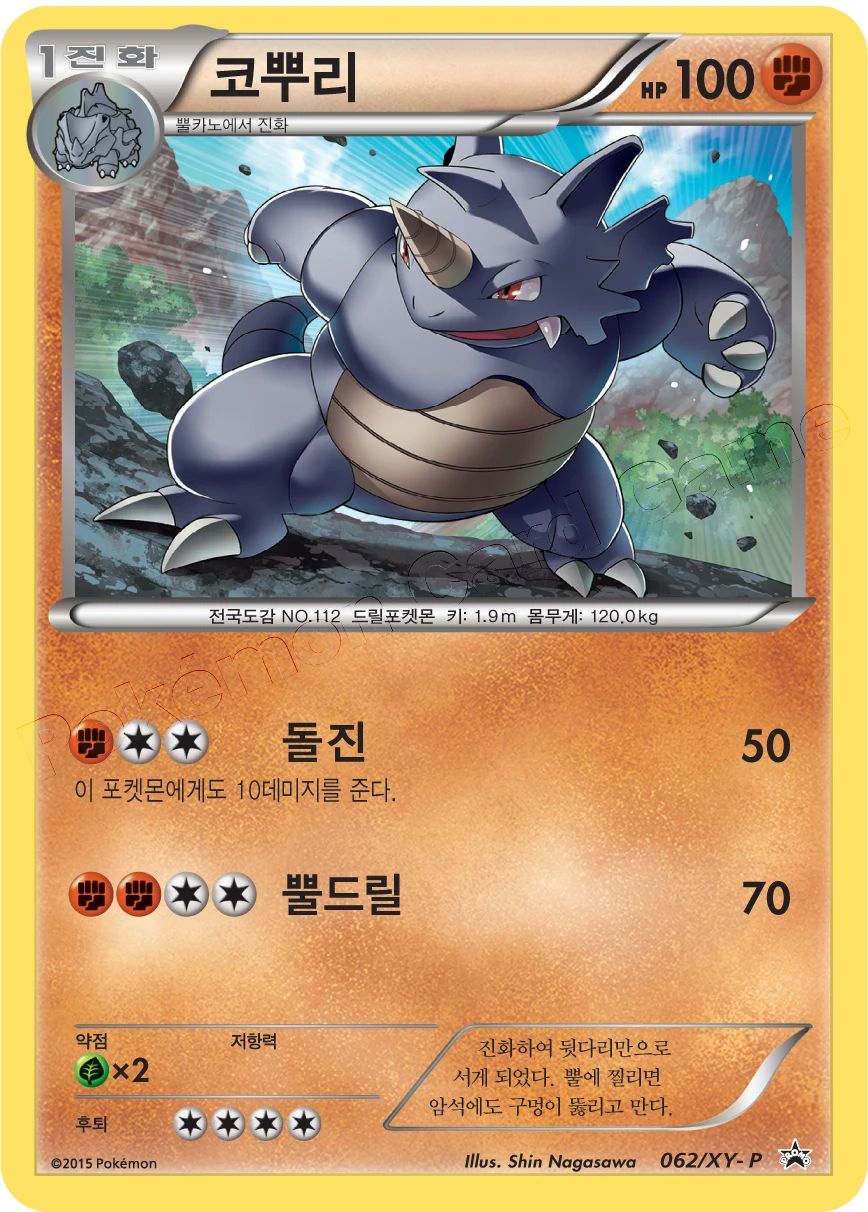 코뿌리