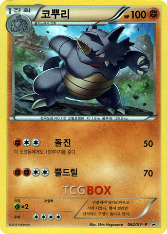 코뿌리