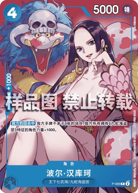 波尔·汉库珂
