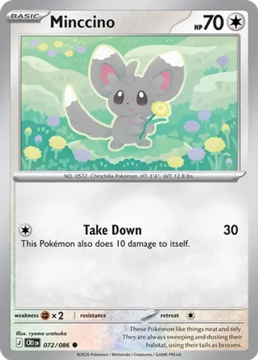 Minccino