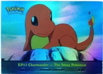 Charmander-the Stray Pokemon