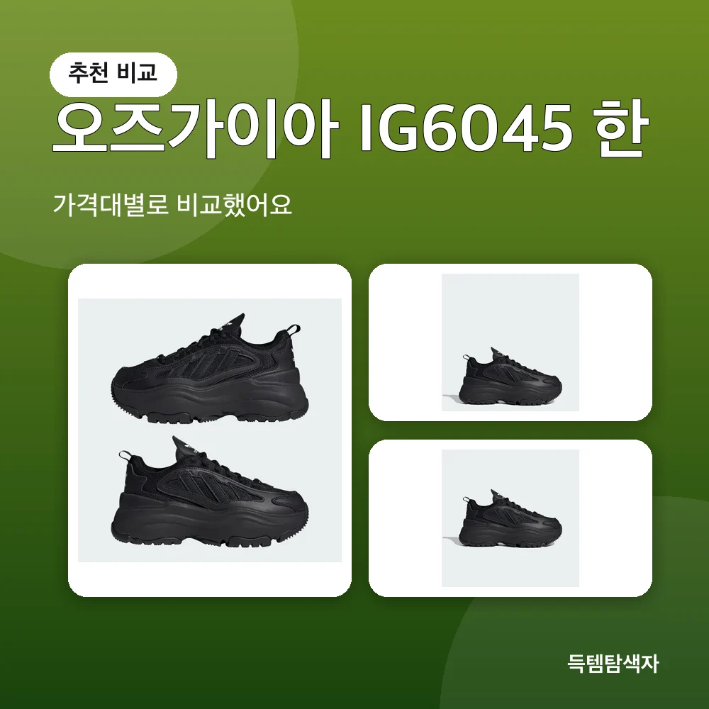 오즈가이아 IG6045 한 추천 비교
