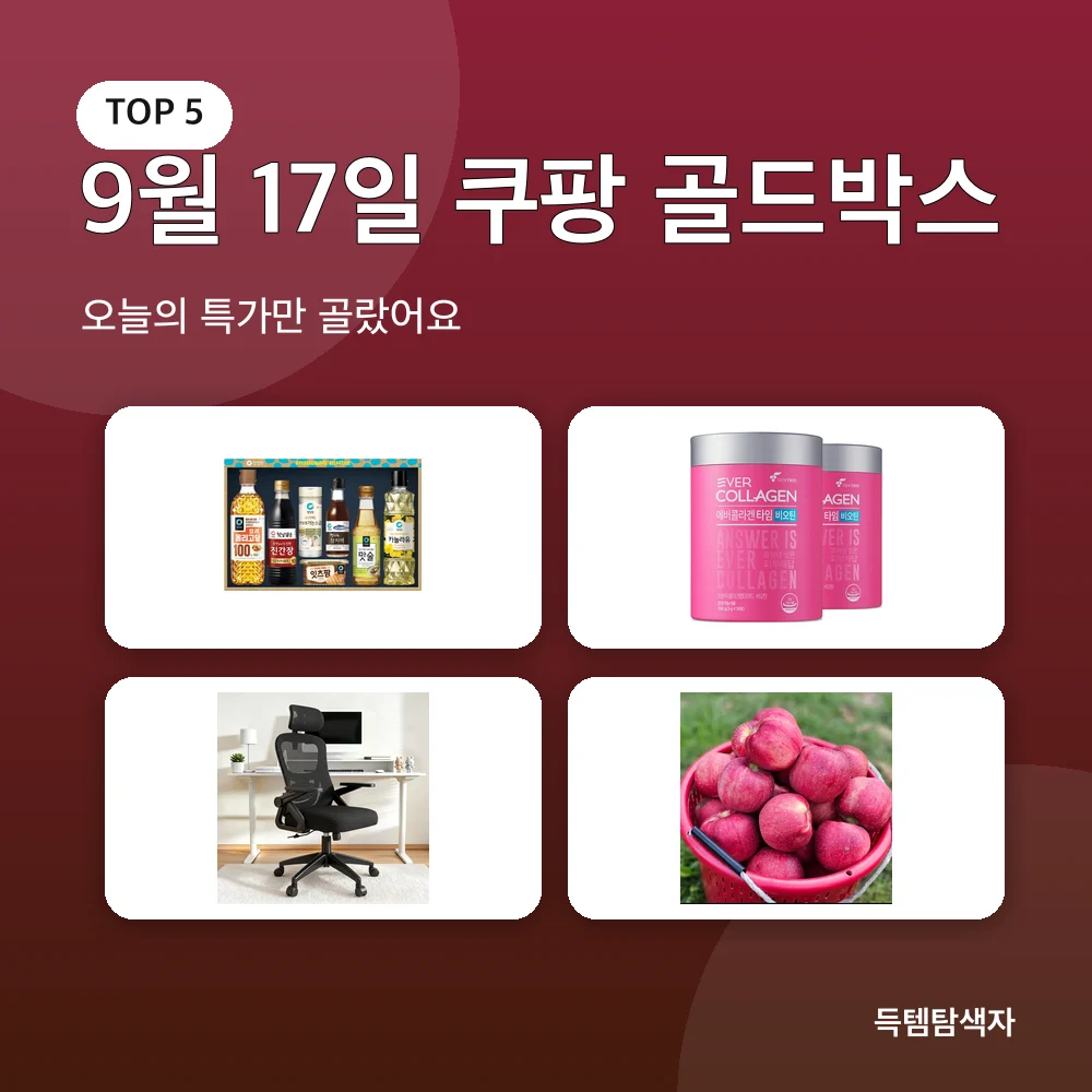 9월 17일 쿠팡 골드박스 추천 비교