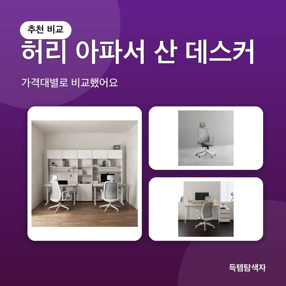허리 아파서 산 데스커 추천 비교
