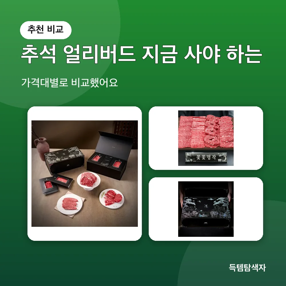 추석 얼리버드 지금 사야 하는 추천 비교