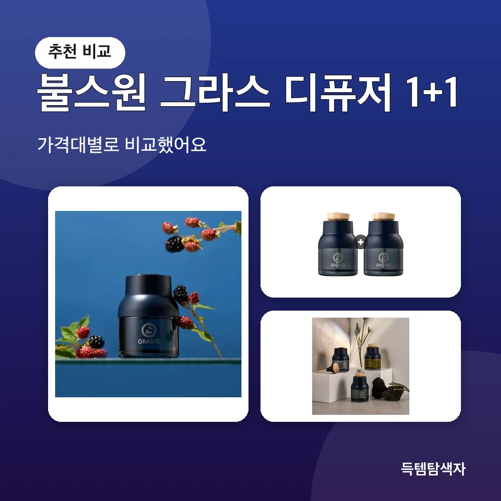 불스원 그라스 디퓨저 1+1 추천 비교