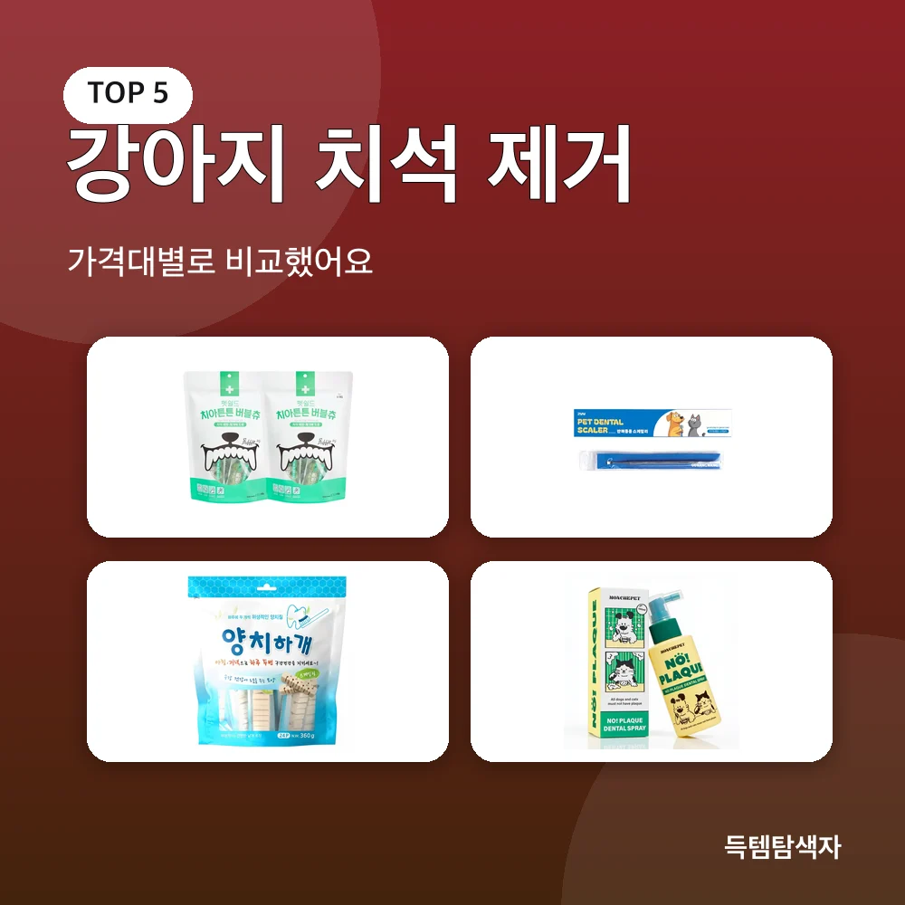 강아지 치석 제거 추천 비교