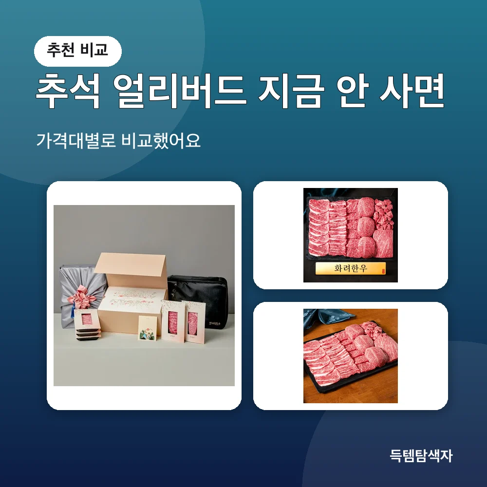 추석 얼리버드 지금 안 사면 추천 비교