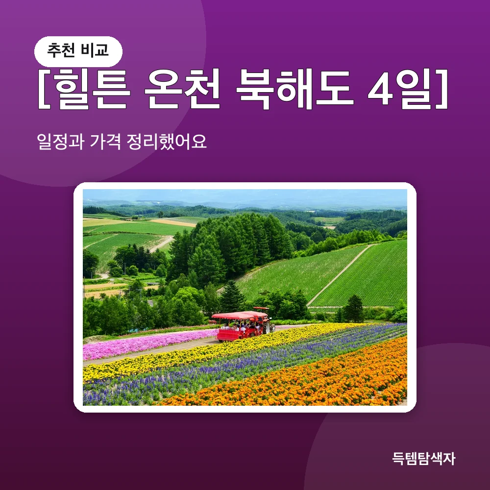 [힐튼 온천 북해도 4일] 추천 비교