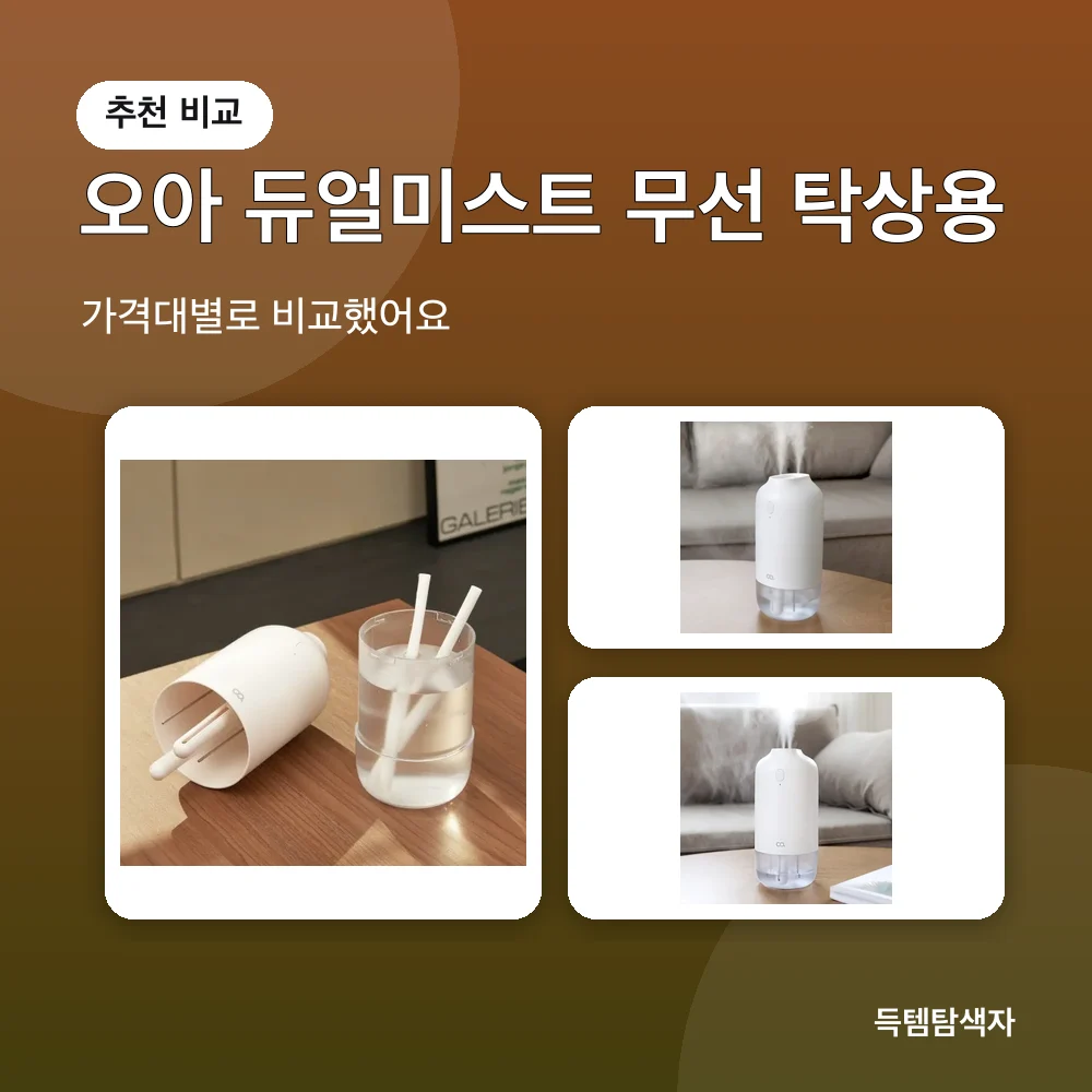 오아 듀얼미스트 무선 탁상용 추천 비교
