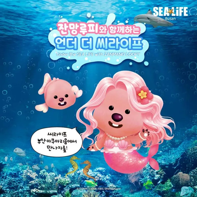 ๋น์๊ธฐ ์์ฟ ์๋ฆฌ์ ์
์ฅ๊ถ