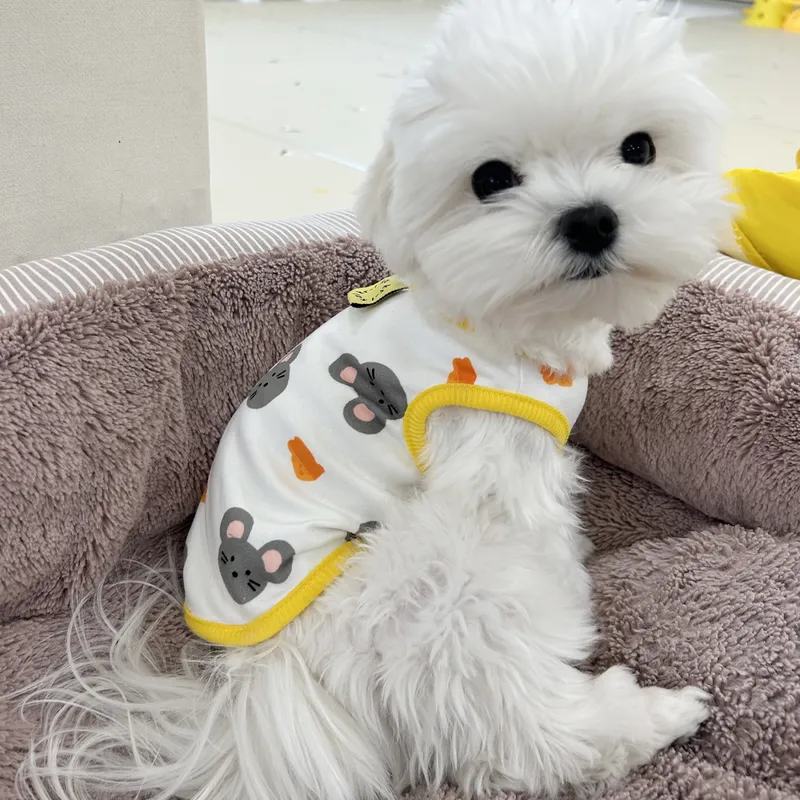로커스 강아지 옷 노란색