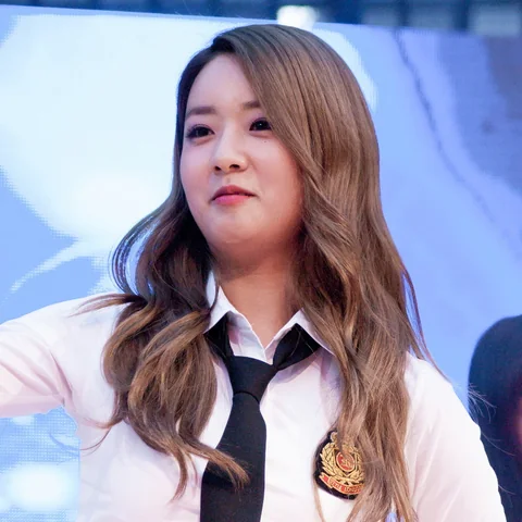 에이핑크 사진 29