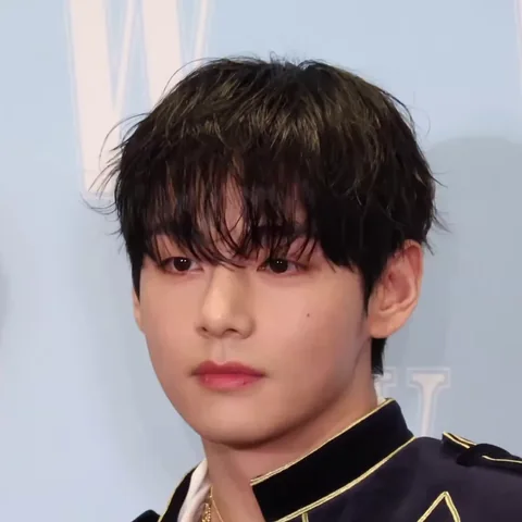 뷔 사진 1