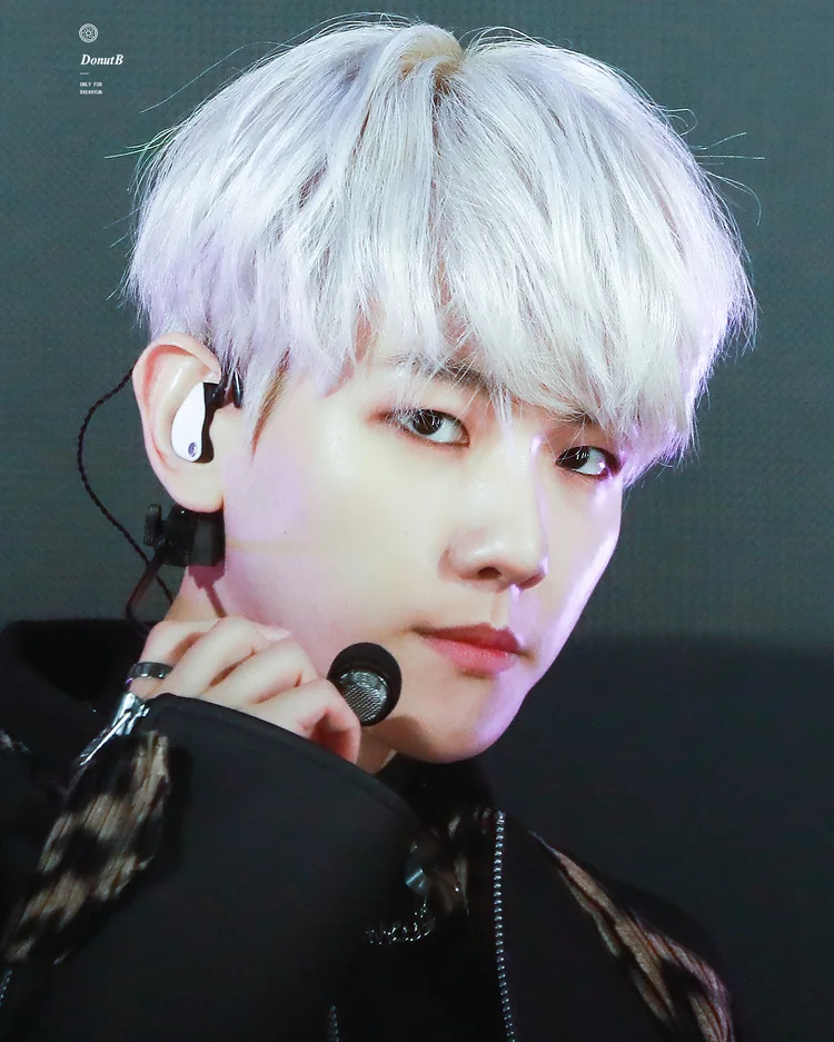 엑소 백현 사진