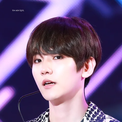엑소 사진 30