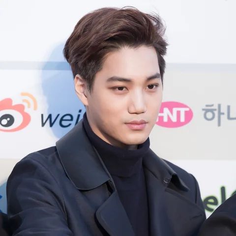 카이 사진 10