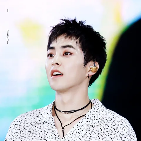 엑소 사진 11