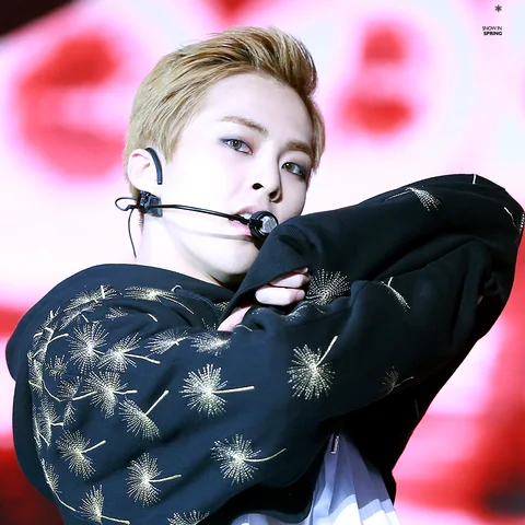 엑소 사진 14