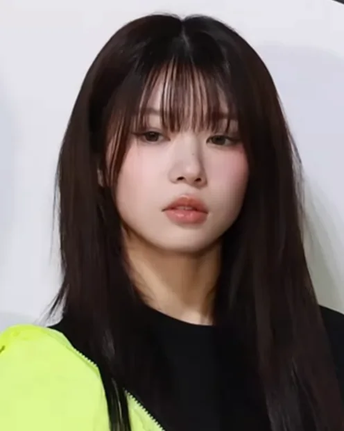 아일릿 모카 사진