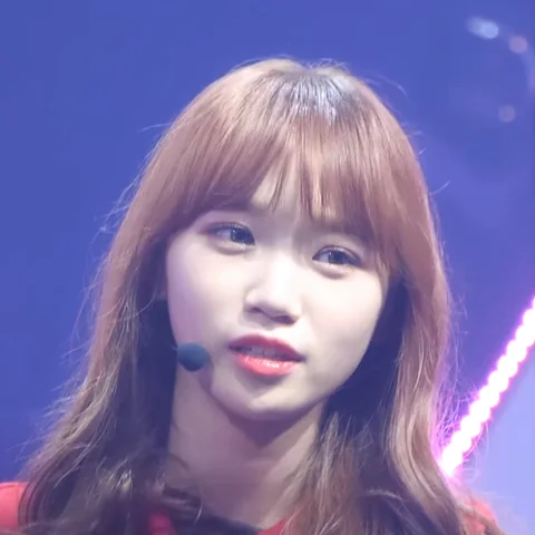 르세라핌 사진 23