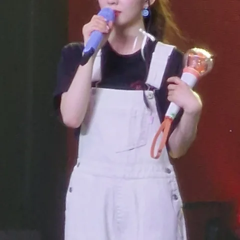 레드벨벳 사진 12