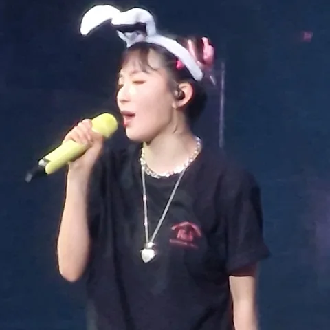 레드벨벳 사진 26