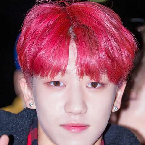 디에잇 사진 5