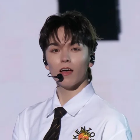 버논 사진 1