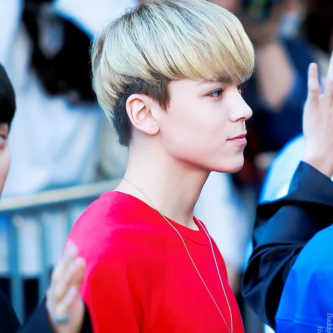 버논 사진 5