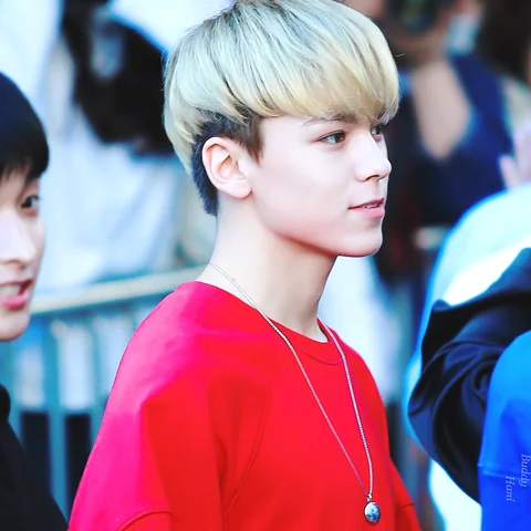 버논 사진 4