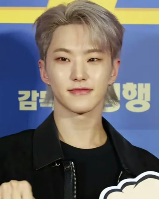 세븐틴 호시 사진
