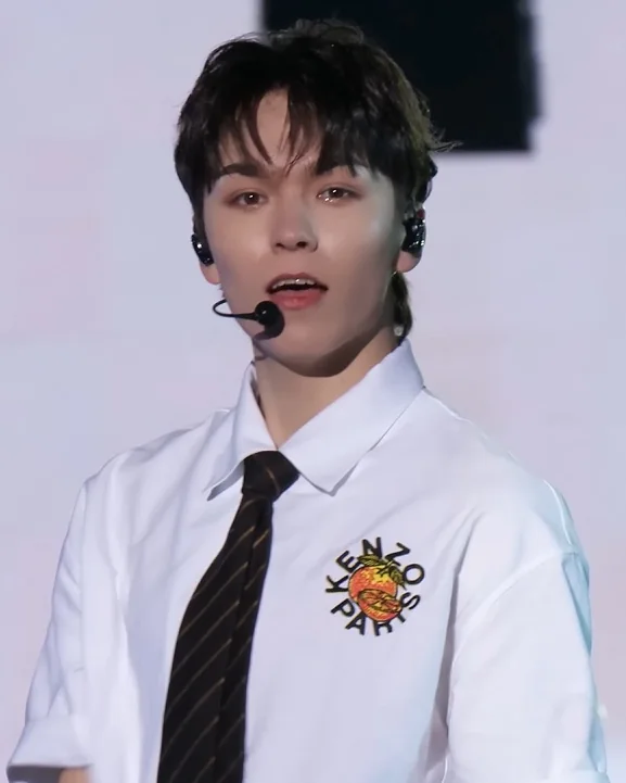 세븐틴 버논 사진