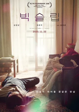 빅슬립