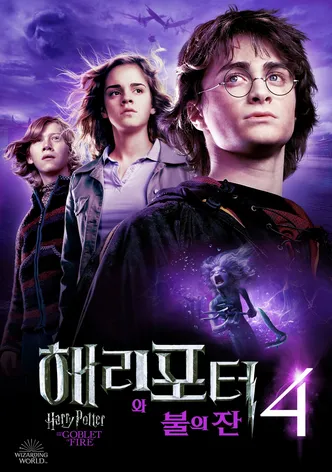 해리 포터와 불의 잔