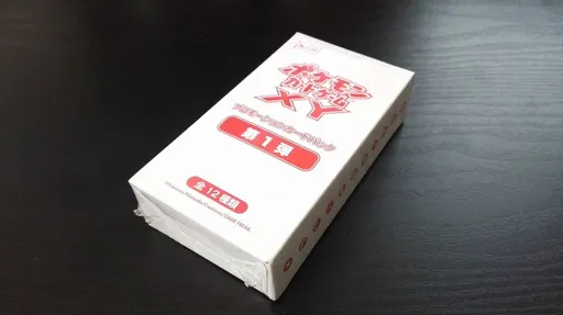 XY 포켓몬카드 짐 프로모 카드팩 1