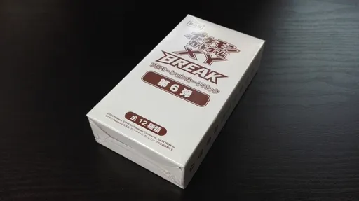 XY 포켓몬카드 짐 프로모 카드팩 6
