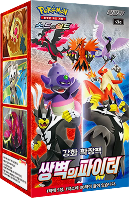 쌍벽의 파이터