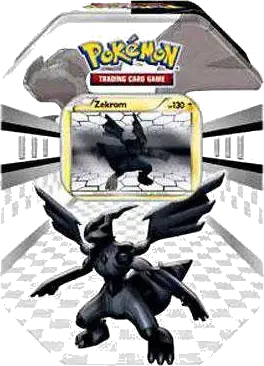 Black & White 틴 Zekrom