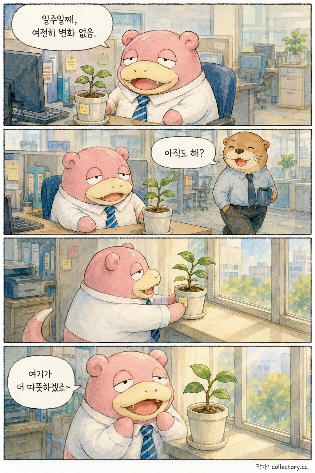 사무실 화분 4
